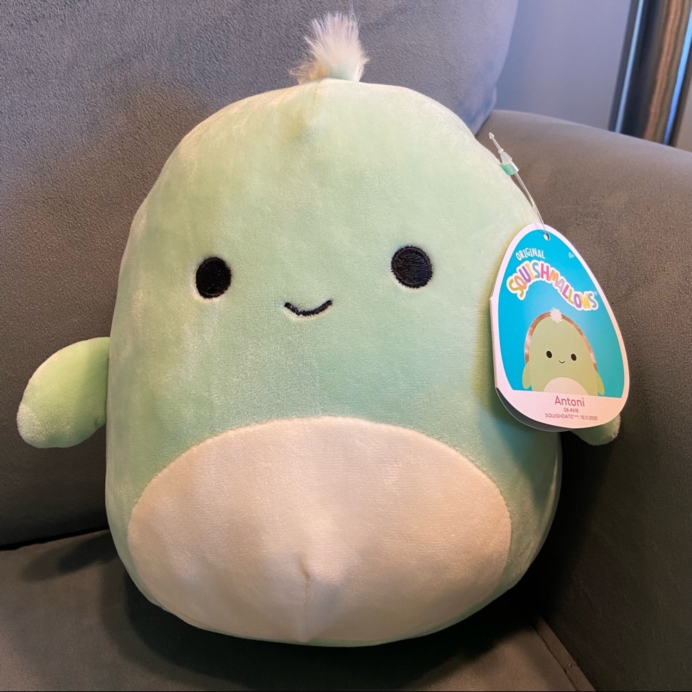 Antoni the Sea Turtle Squishmallow
